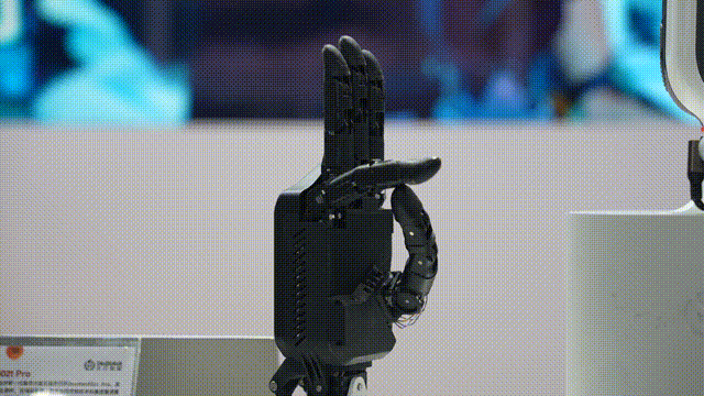 A2215 00_00_00-00_00_10.gif